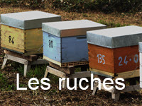 11 - Cliquez ici pour voir le diaporama : Les ruches