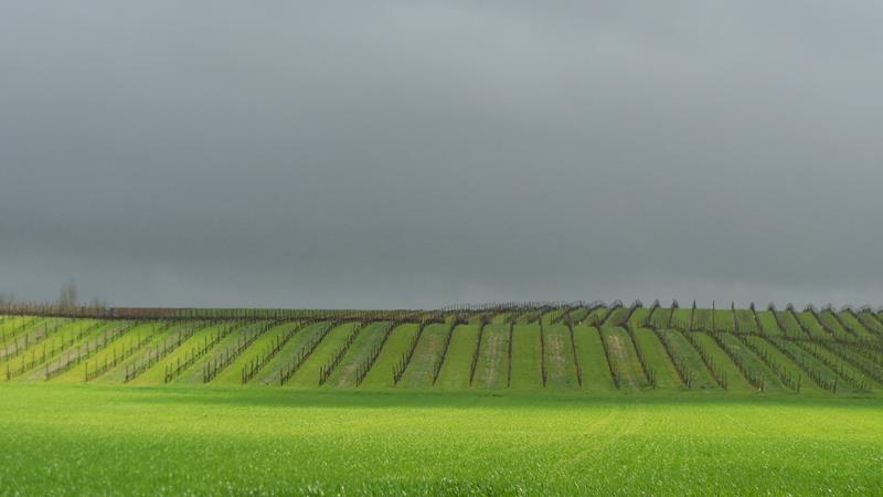 Le Domaine du Bout du Monde