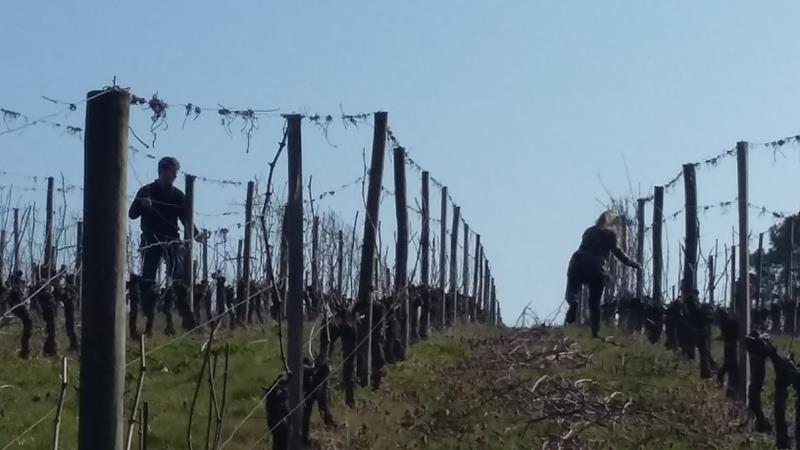 Le tirage des bois