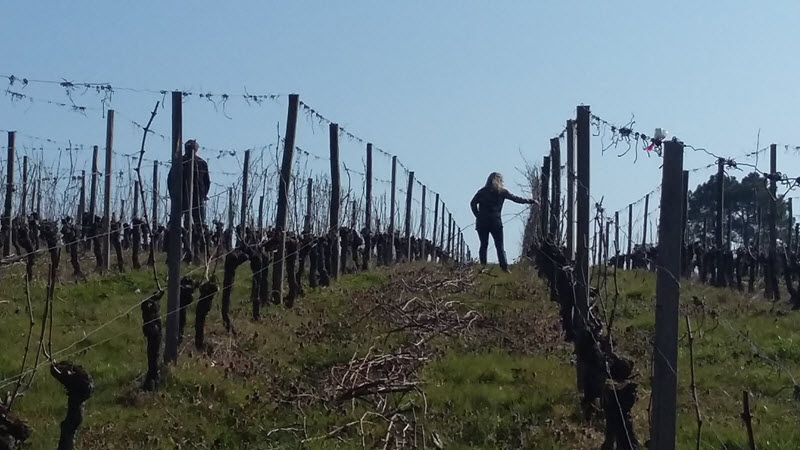 Le tirage des bois