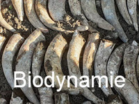 9 - Cliquez ici pour voir le diaporama : Biodynamie