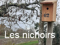 12 - Cliquez ici pour voir le diaporama : Les nichoirs