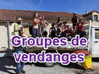 Les groupes de vendanges depuis 2015