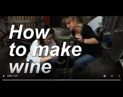 15 - VIDÉO : HOW TO MAKE WINE